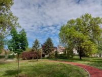 Veliki park Travel Forum Reviews