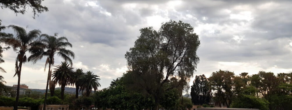 Venning Park Travel Forum Reviews