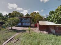 Venta de lombriz de pesca Travel Forum Reviews