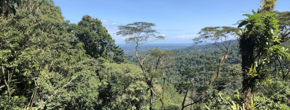 Veragua Rainforest Travel Forum Reviews