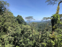 Veragua Rainforest Travel Forum Reviews