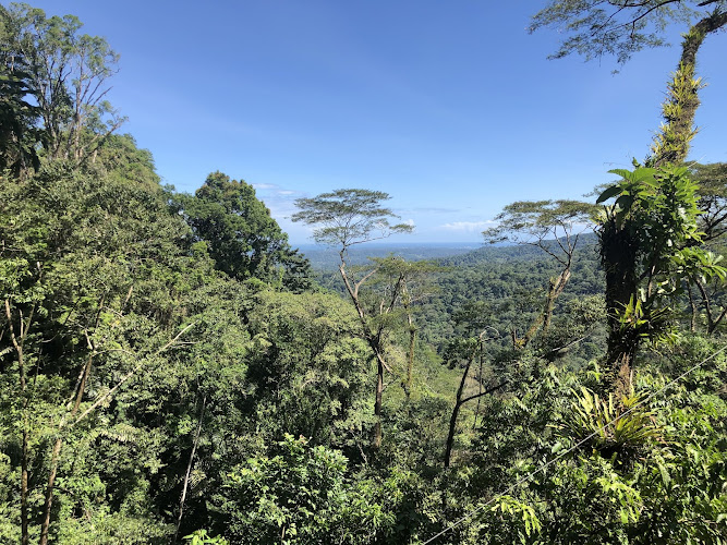 Veragua Rainforest