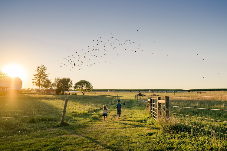 Verdant View Farm