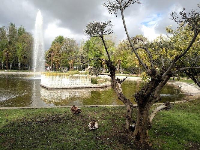 Veredillas Park