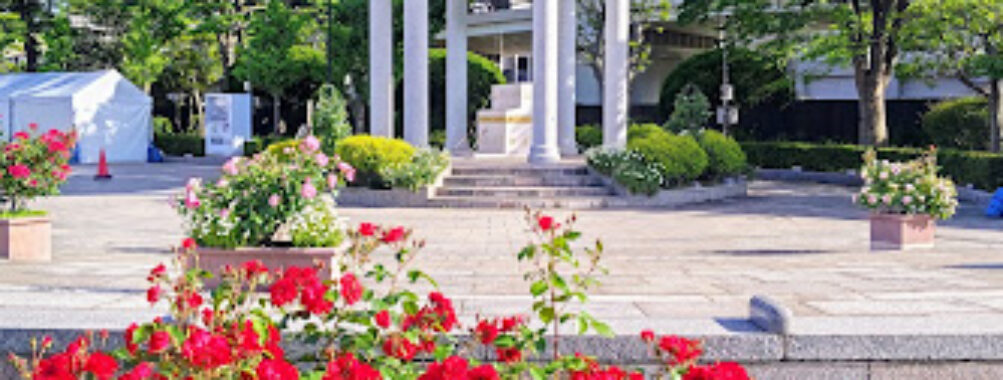 Verny Park Travel Forum Reviews