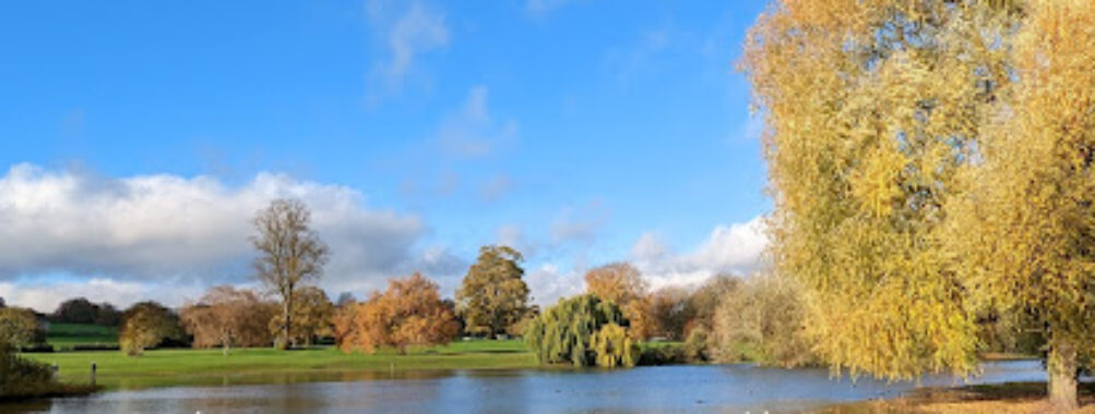 Verulamium Park Travel Forum Reviews