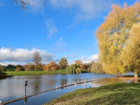 Verulamium Park Travel Forum Reviews