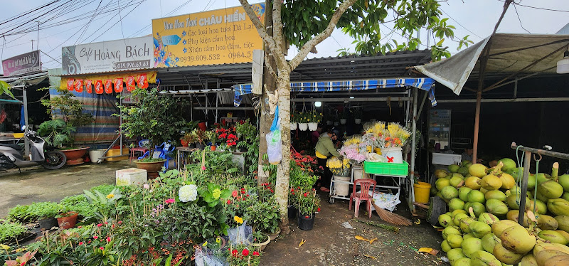Vi Thanh Market