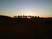 Viajes Amazigh Marruecos - Excursiones y circuitos por Marruecos Travel Forum Reviews