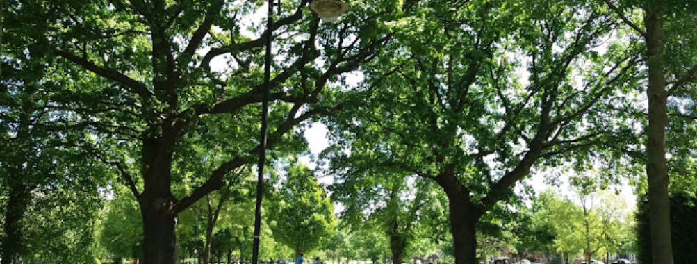Victoria Park Travel Forum Reviews