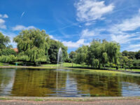 Victoria Park Travel Forum Reviews