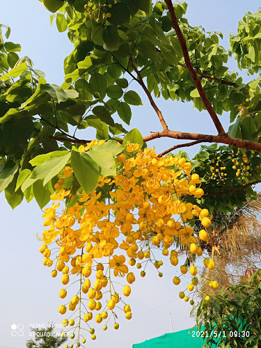 Vidisha Park