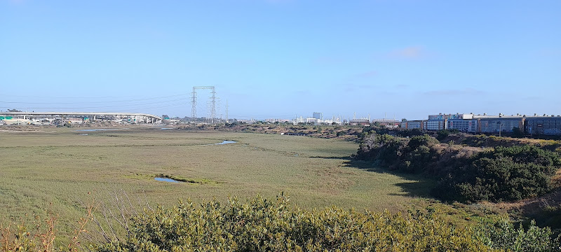 View Point - San Diego Bay National Wildlife Refuge