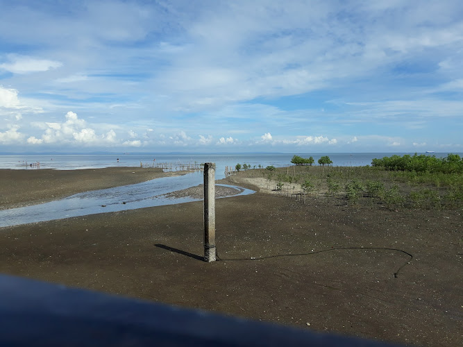Viewing Deck