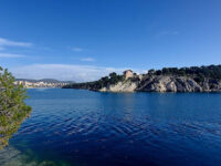 Viewpoint Travel Forum Reviews