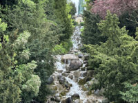 Viktoria Park Travel Forum Reviews