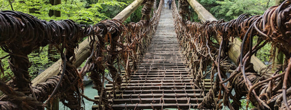 Vine Bridge in the Iya Valley Travel Forum Reviews