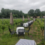 Vineyard Amsteltuin BV