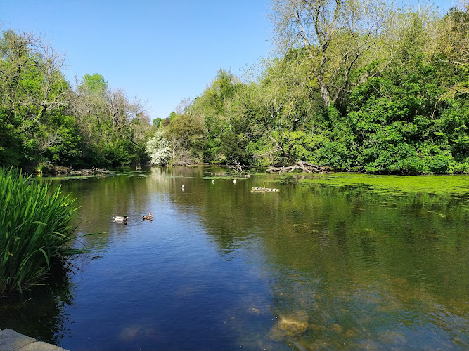 Vinters Park Nature Reserve