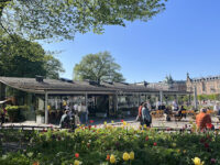 Visit Djurgården Travel Forum Reviews