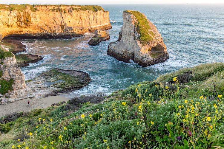 Visit Santa Cruz County