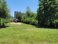 Vista Hermosa Natural Park, Mountains Recreation & Conservation Authority Travel Forum Reviews
