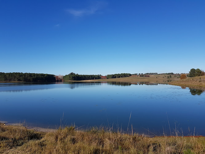 Vista de Lago de la Juventud