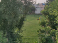 Vivekanand Park Travel Forum Reviews