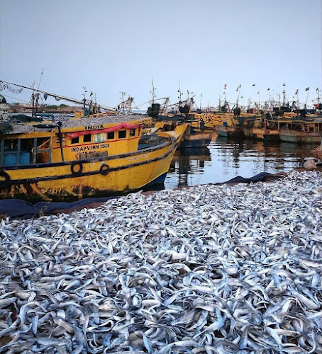 Vizag Fishing Harbour