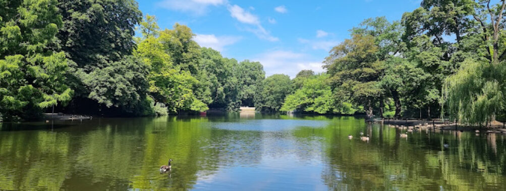 Volksgarten Köln Travel Forum Reviews
