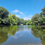 Volksgarten Köln