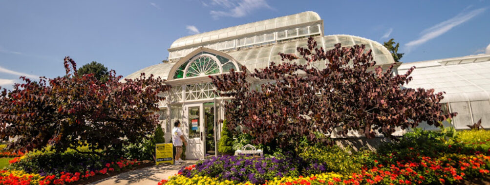 Volunteer Park Conservatory Travel Forum Reviews