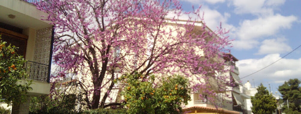 Vrilissia Travel Forum Reviews