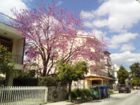 Vrilissia Travel Forum Reviews