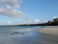 Vumawimbi Beach Travel Forum Reviews