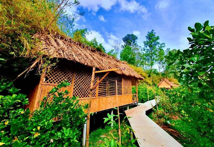 Vườn Tre Tư Sang - Hậu Giang