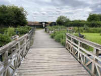WWT London Wetland Centre Travel Forum Reviews