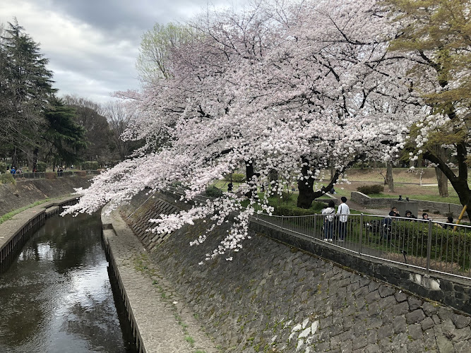 Wadabori Park