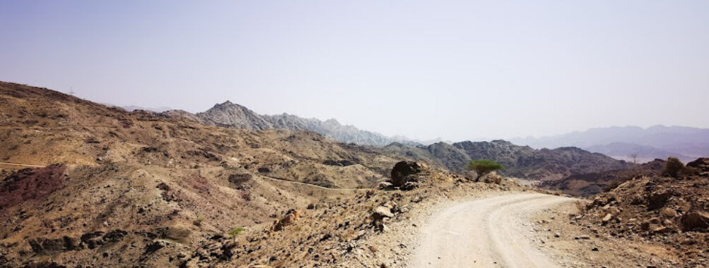 Wadi Sena Travel Forum Reviews