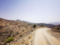 Wadi Sena Travel Forum Reviews