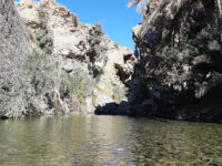 Wadi Shees Travel Forum Reviews