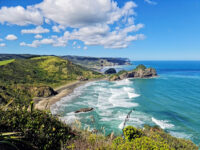 Waitakere Ranges Regional Park Travel Forum Reviews