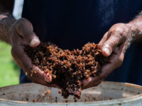 Waitika Farm Fiji Travel Forum Reviews