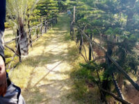 Wakanda Gardens Kitui Travel Forum Reviews