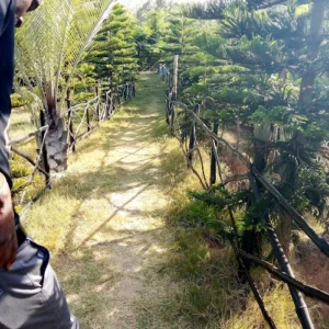 Wakanda Gardens Kitui