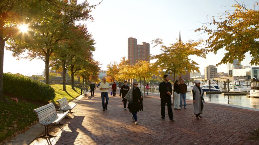 Walking at the Inner Harbor