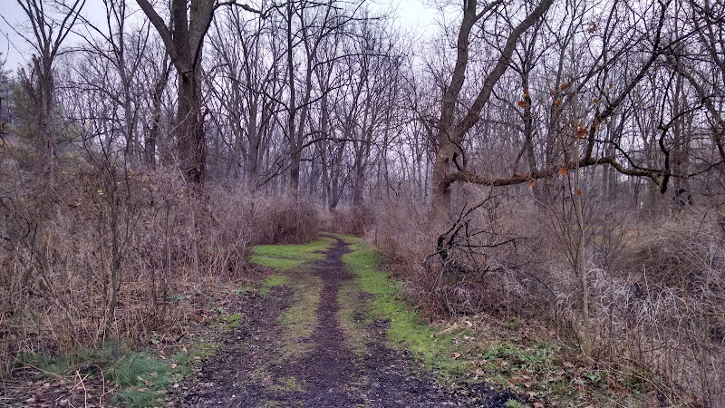 Walnut Springs Park