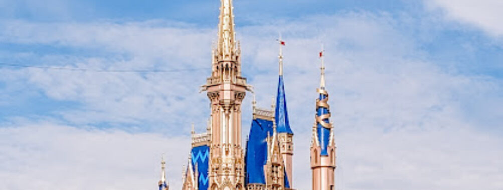 Walt Disney World® Resort Travel Forum Reviews