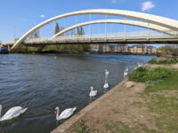 Walton Bridge Travel Forum Reviews