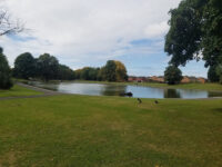 Walton Hall Park Travel Forum Reviews